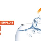 Forum OSE ! Objectif – Stages – Emplois